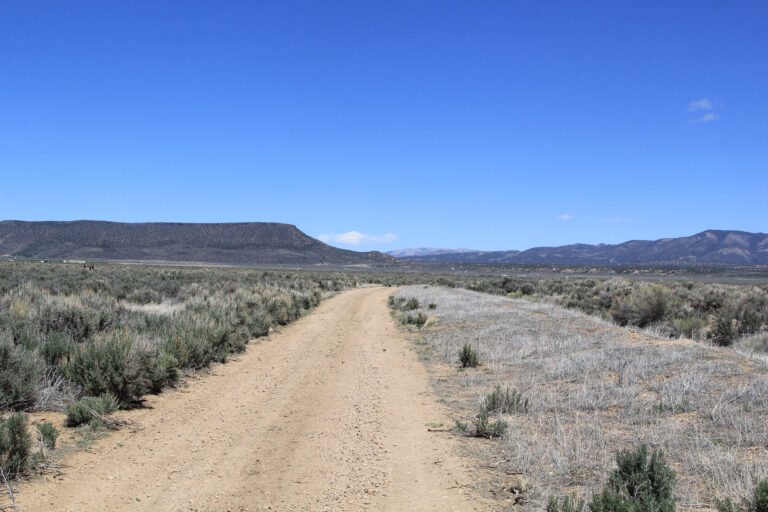 Access Road N
