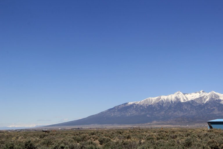 Blanca