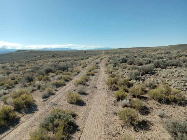 20250921_101539 (1)