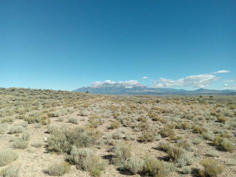 20250921_101557 (1)
