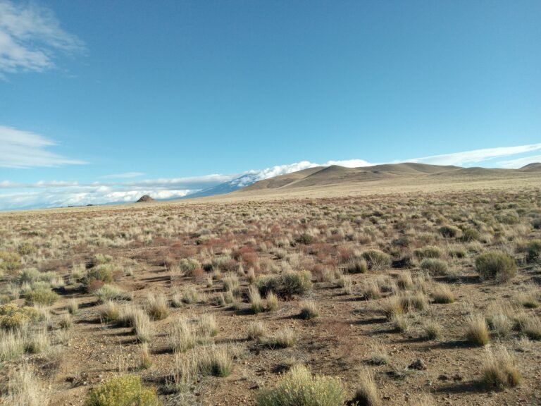 20251012_090825