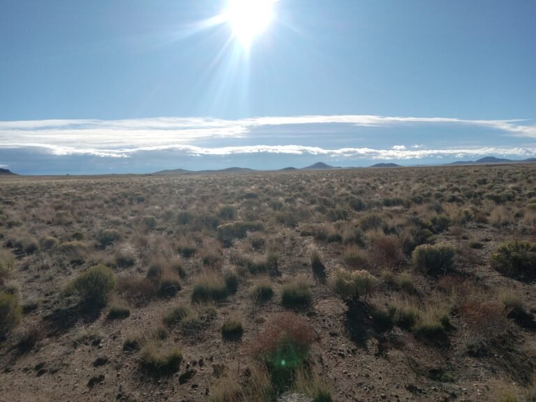 20251012_090837