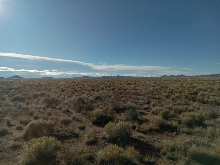 20251012_090959