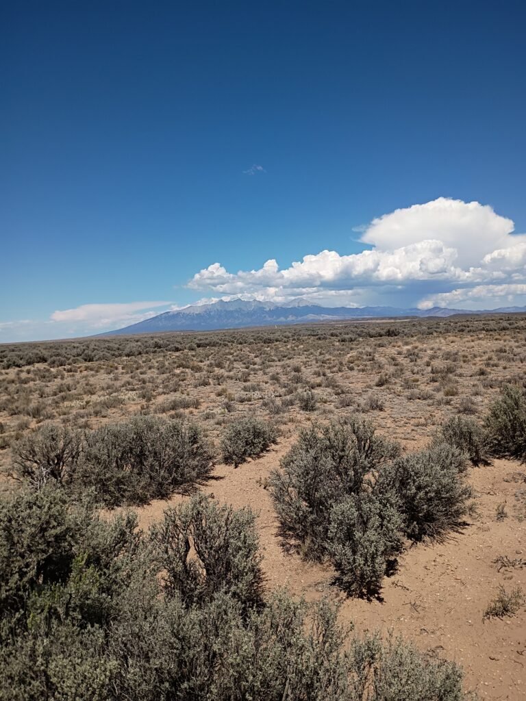 APN 10009131 - 22