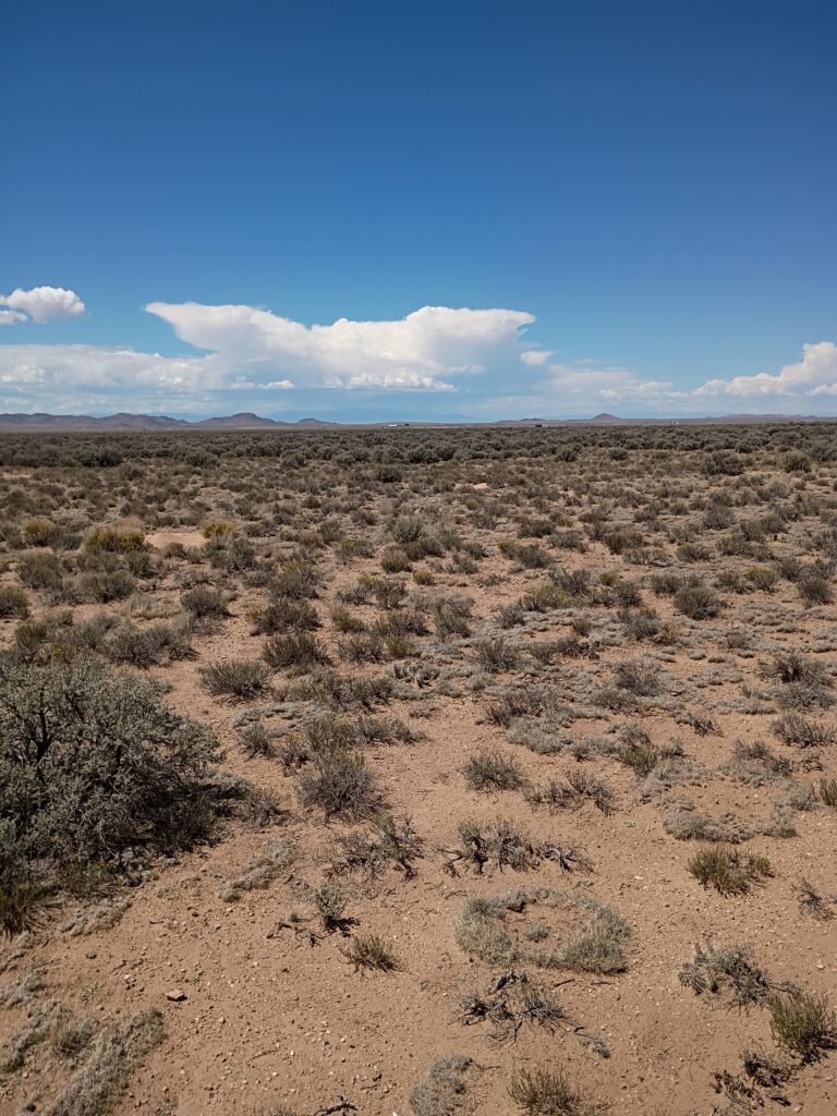 APN 10009131 - 23