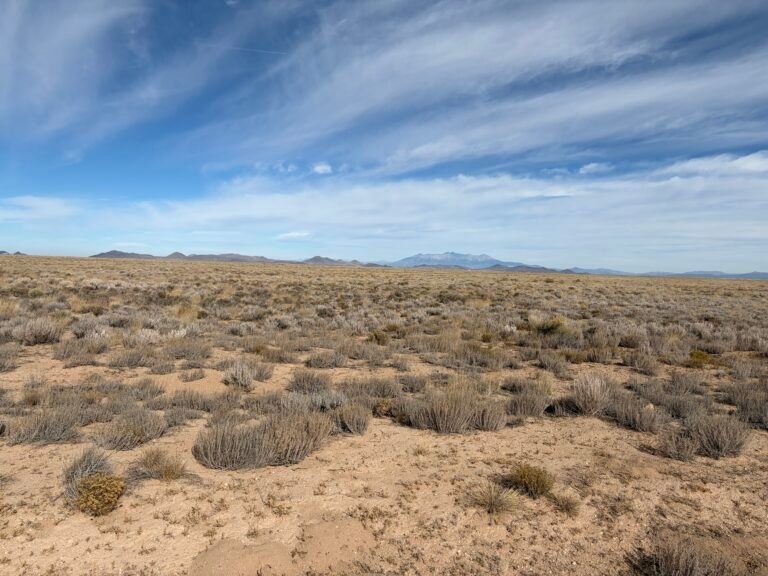 IMG_0525 (1)