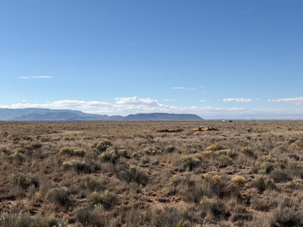 Vertical view of wild open rangeland with green sagebrush bushes and distant mountain silhouette.