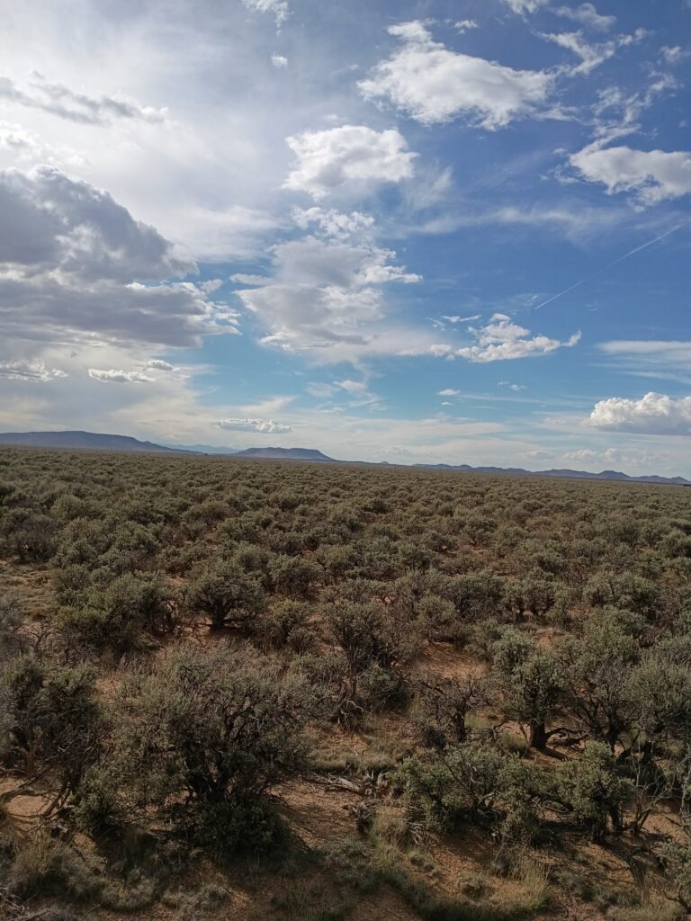 IMG_20260821_171218639_HDR