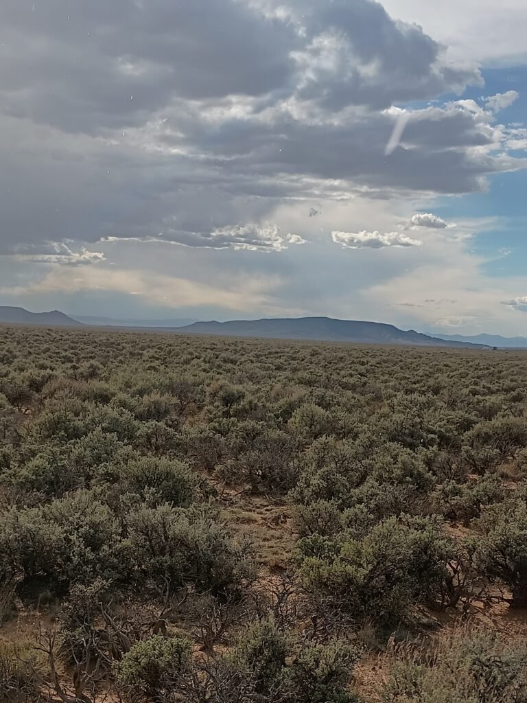 Finding Rural Land Boundary Markers