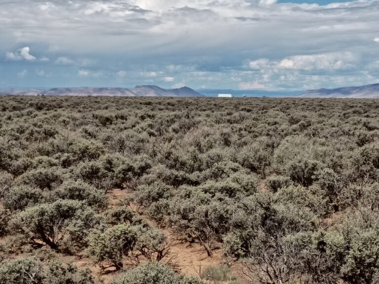 Legal and Physical Access to Rural Land