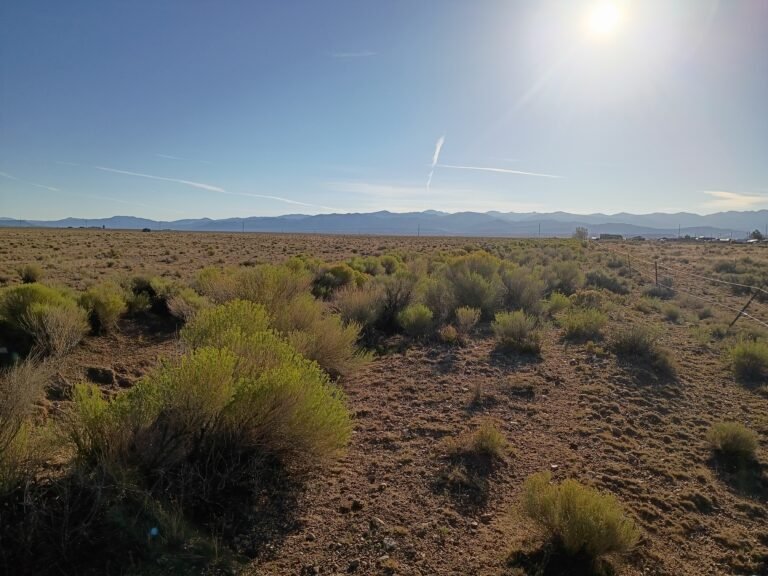 IMG_20260828_080352433_HDR