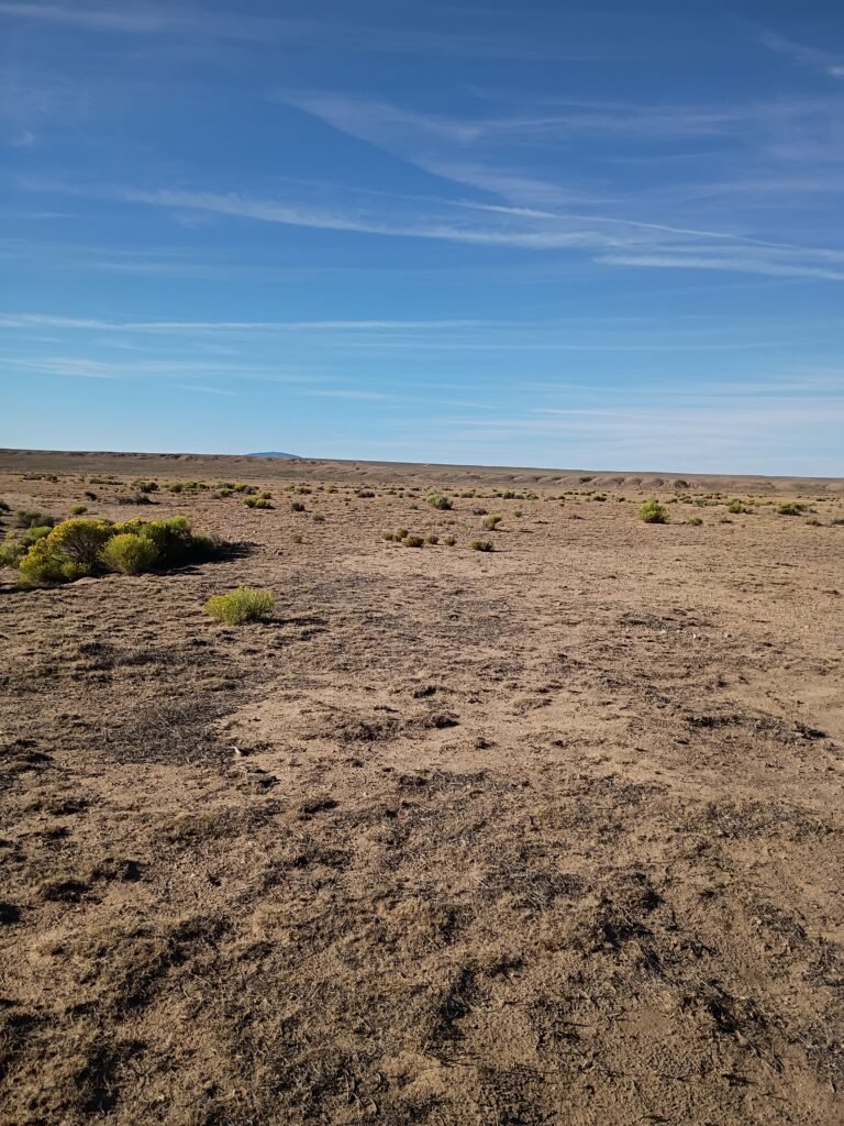 No HOA Land in Colorado