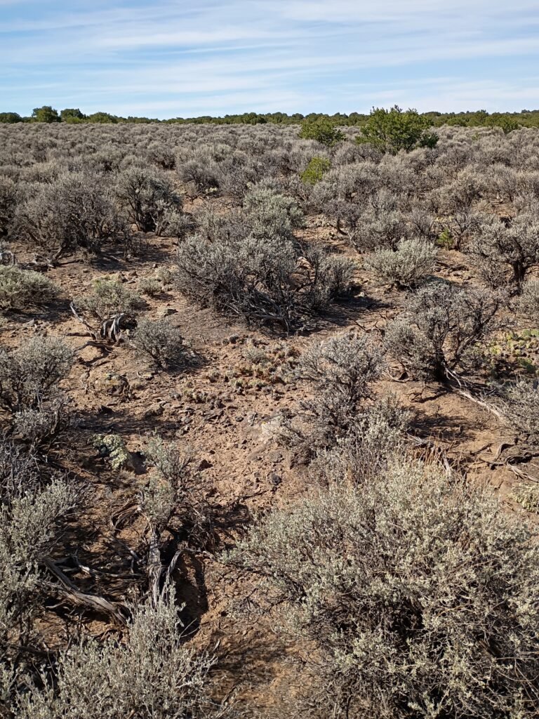 Wide open desert land covered with sagebrush and low vegetation, with distant mountains beneath a partly cloudy blue sky.