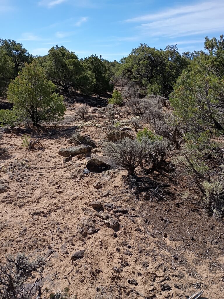 Expansive rural acreage covered in wild sagebrush with distant mountain peaks under midday sun.