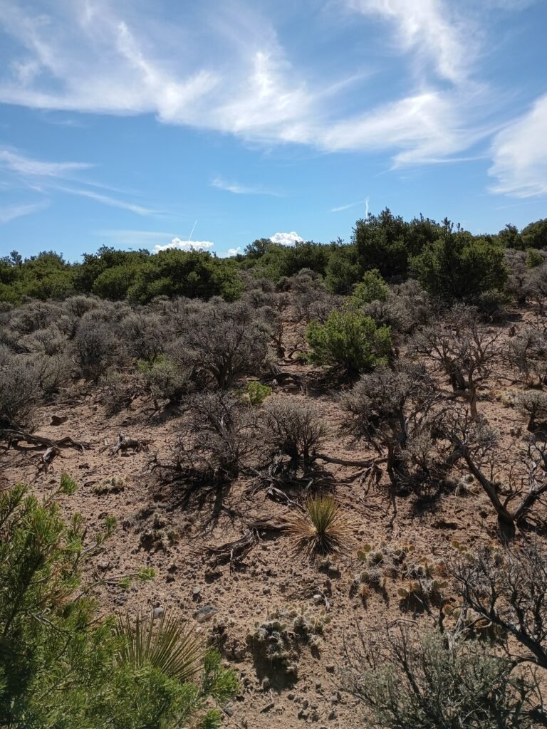 IMG_20260828_102912147_HDR