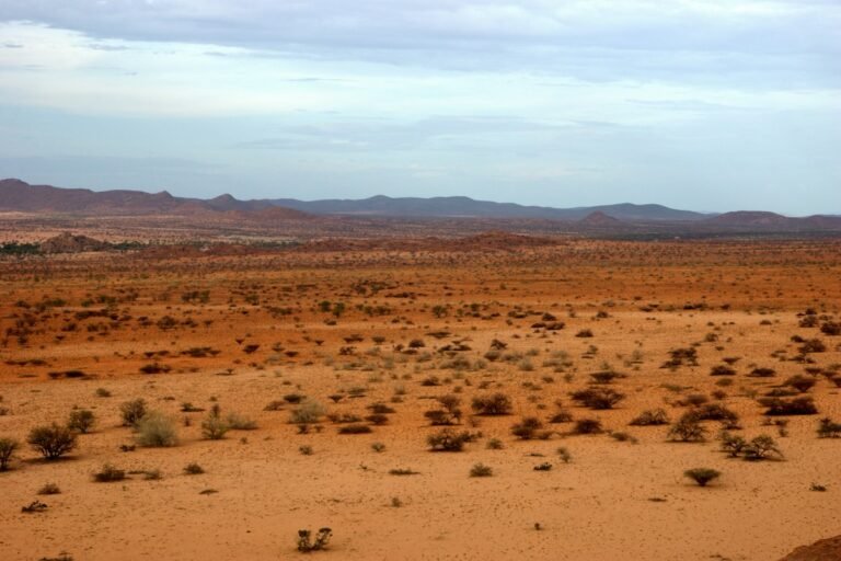 Western landscape